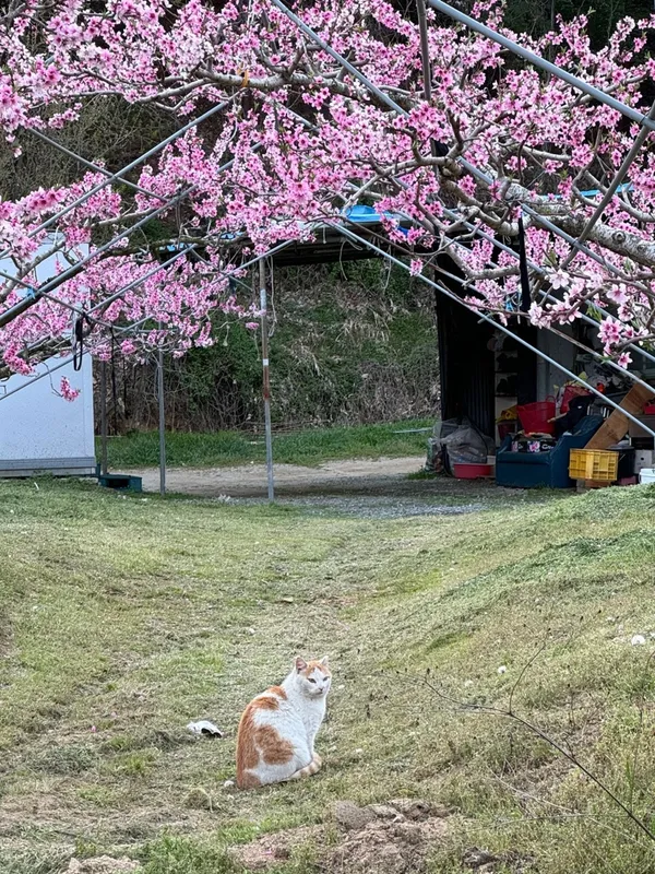 바이서유 사진 5