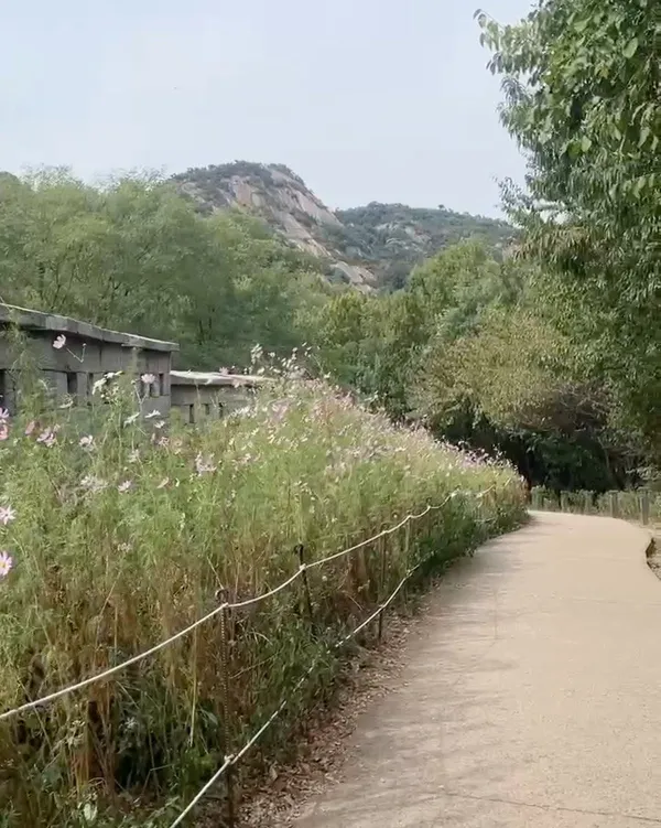 서울한양도성길6코스(인왕구간), photo 5
