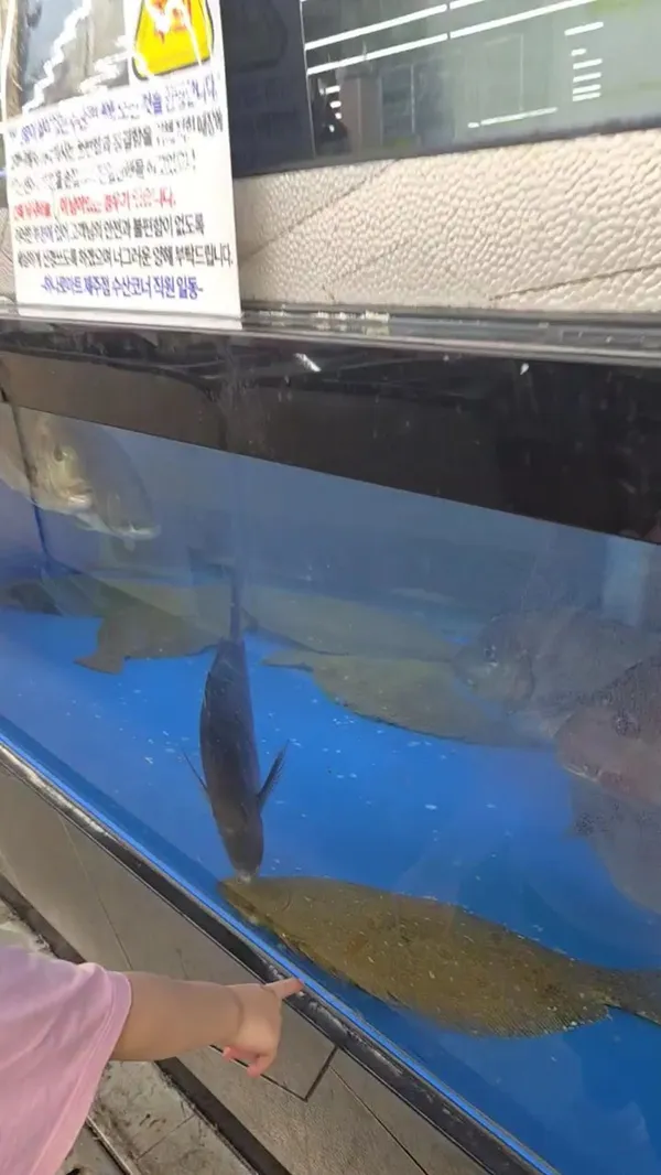 하나로마트 제주시농협 제주점 사진 5