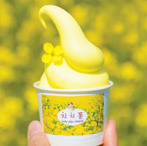 치치퐁 사진 5