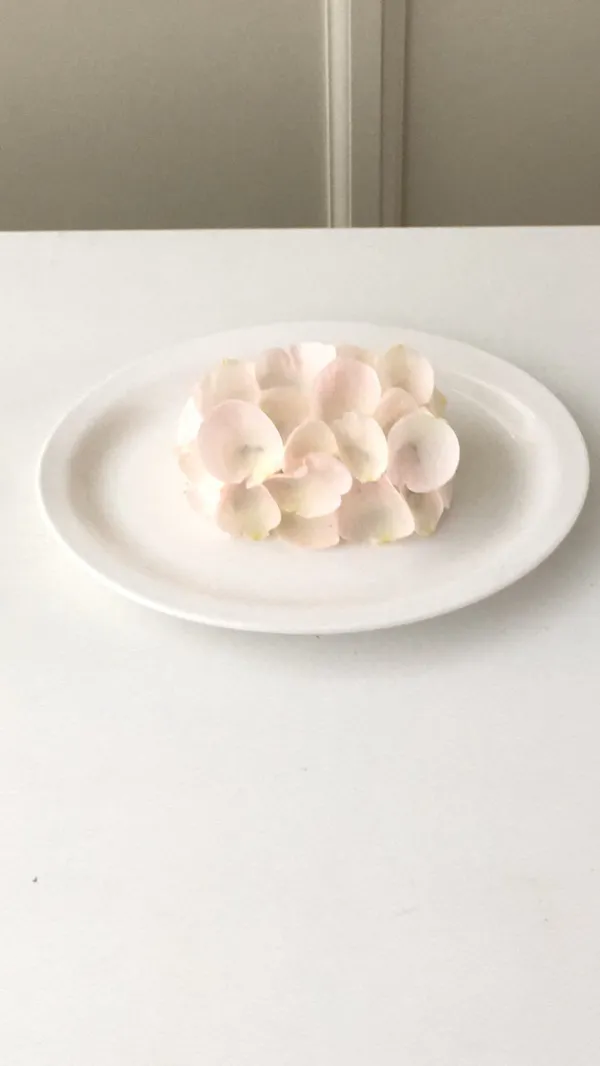 트와엣모아 사진 4