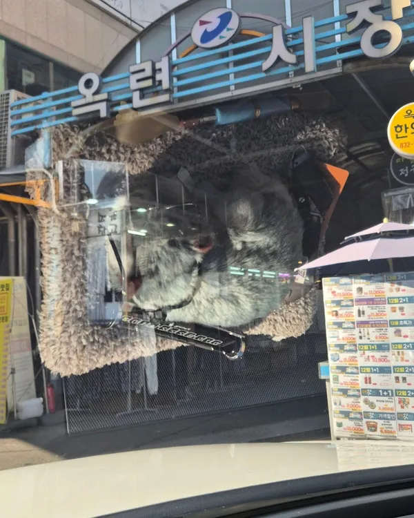 옥련수제어묵 사진 4