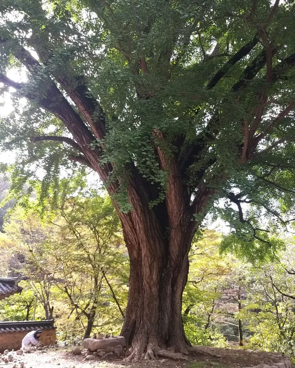 운곡서원 사진 3