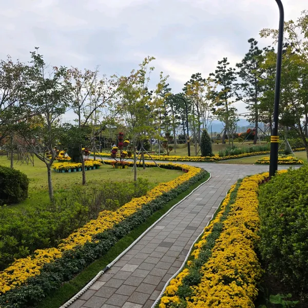 마산가고파국화축제 사진 2