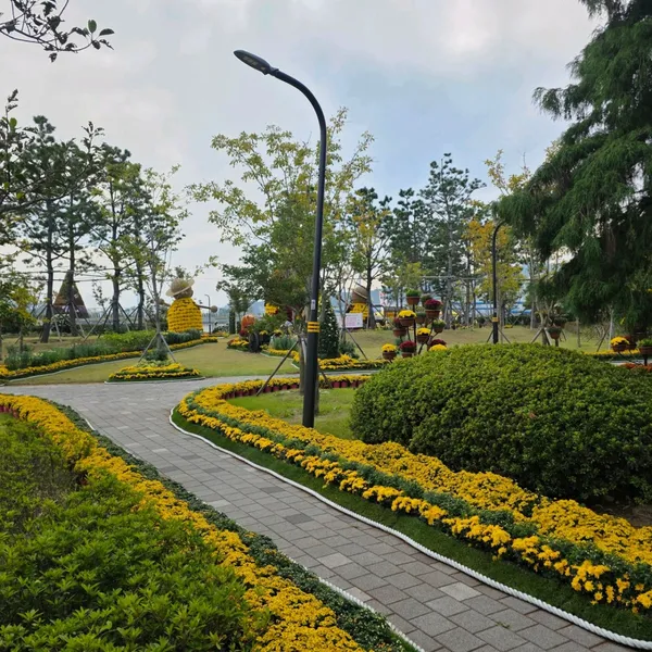 마산가고파국화축제 사진 3