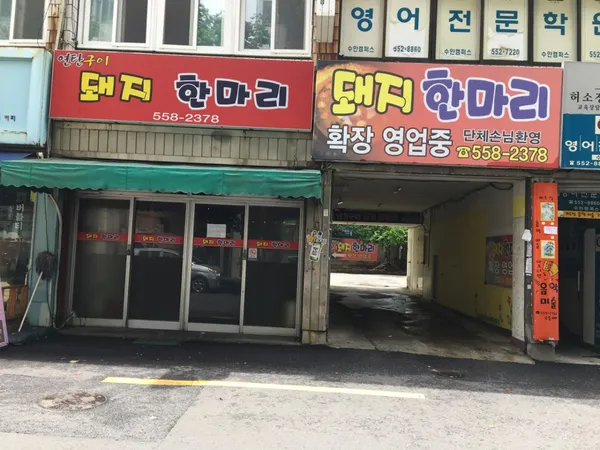 돼지한마리 사진 2