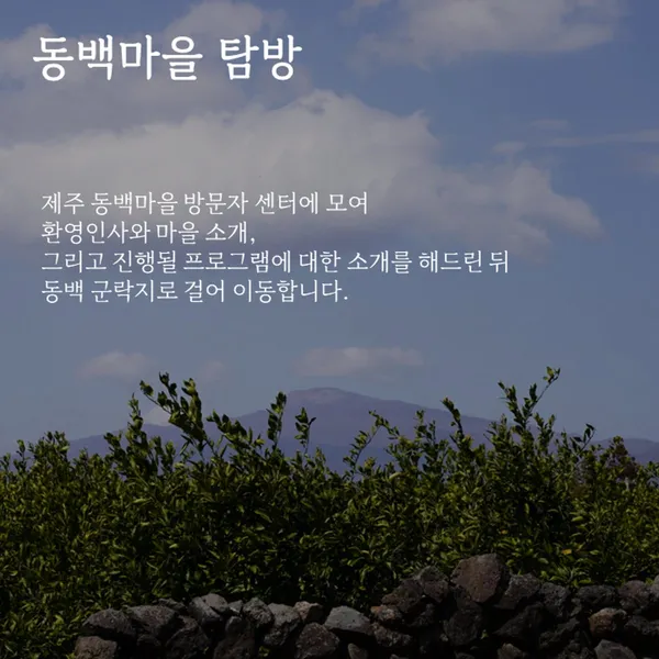 제주동백마을 사진 2