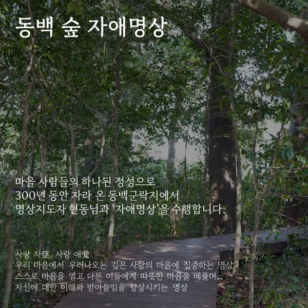 제주동백마을 사진 3