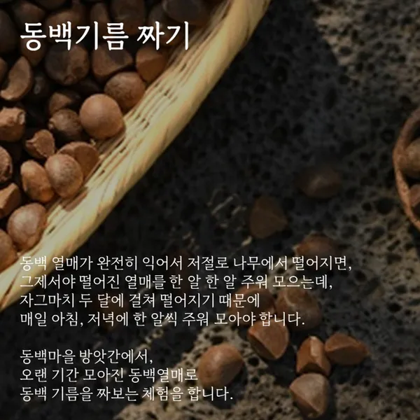 제주동백마을 사진 4