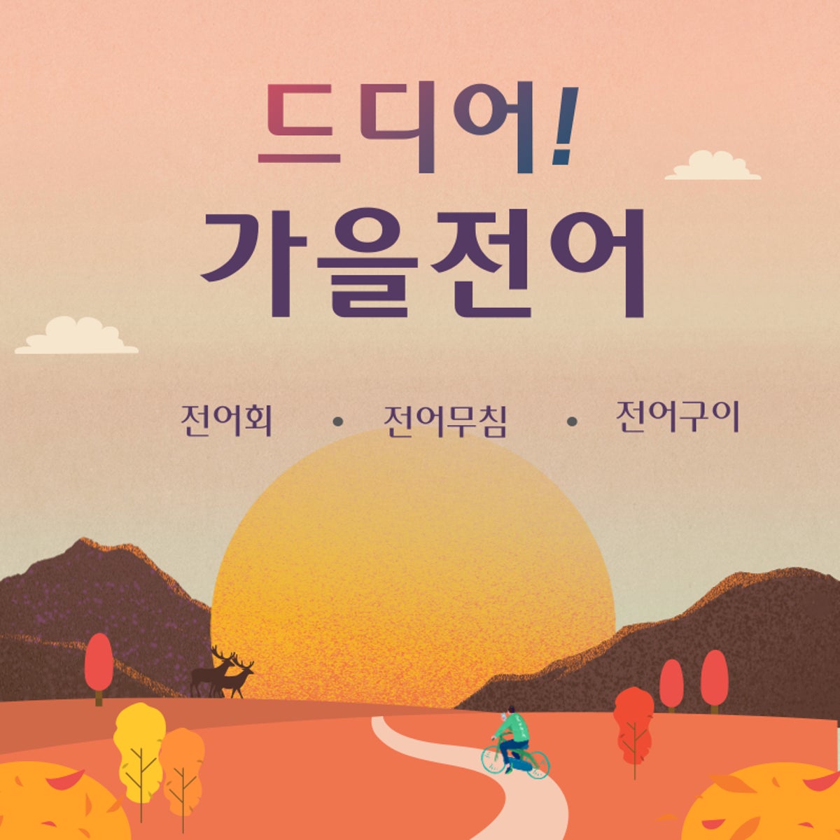 세꼬시마을 용인본점 사진 3