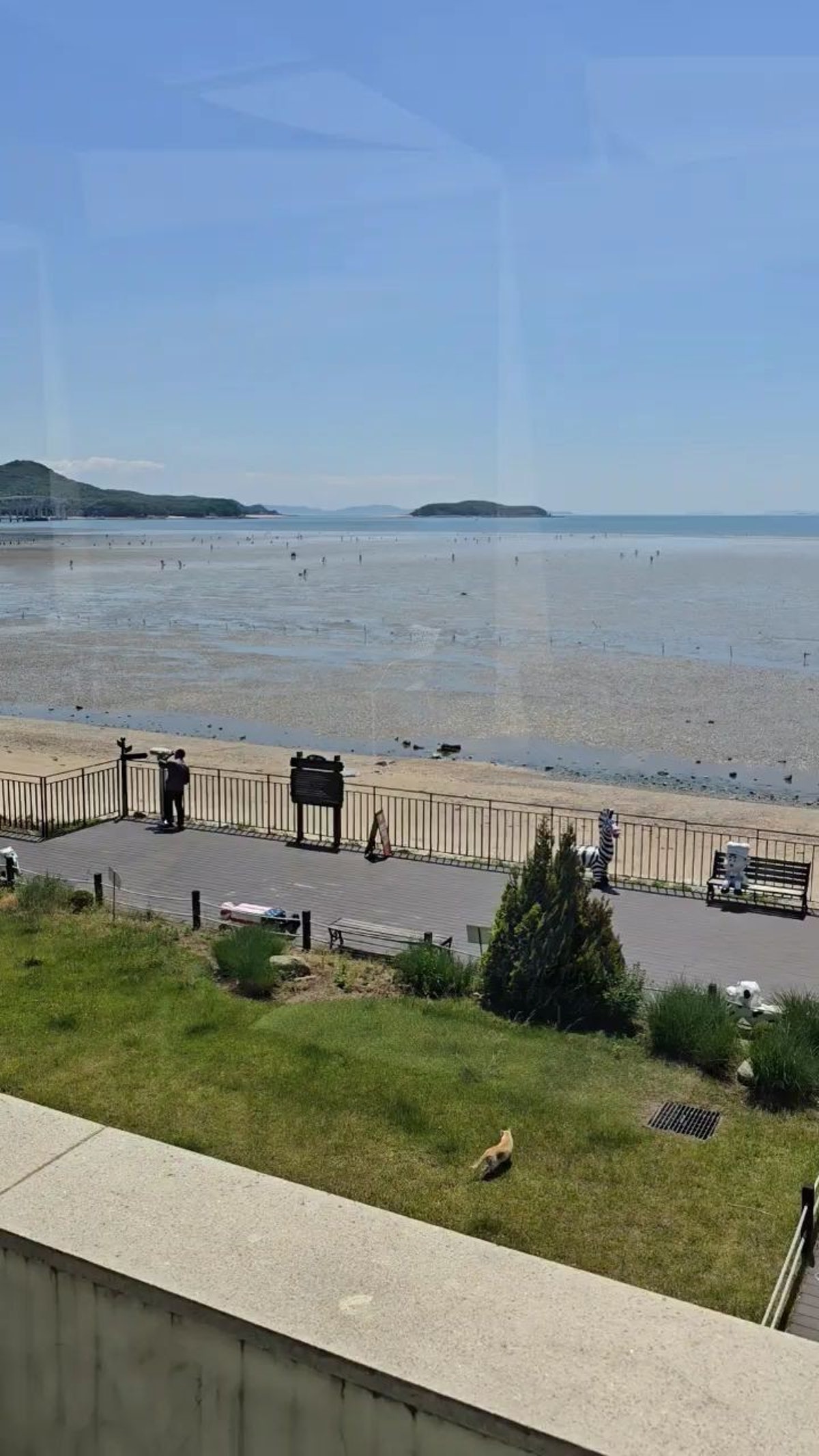 영종도 마시안 해변 사진 3
