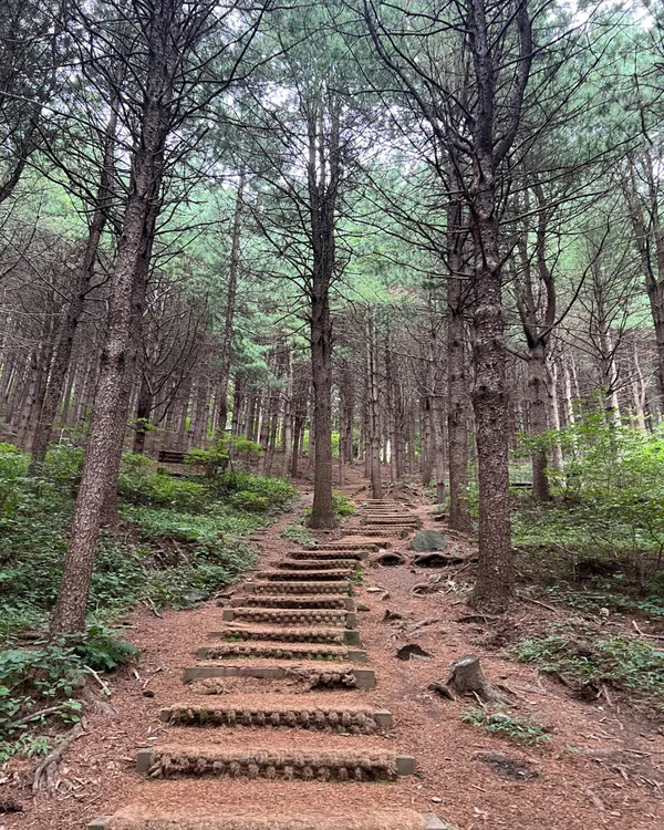 천주산 사진 2