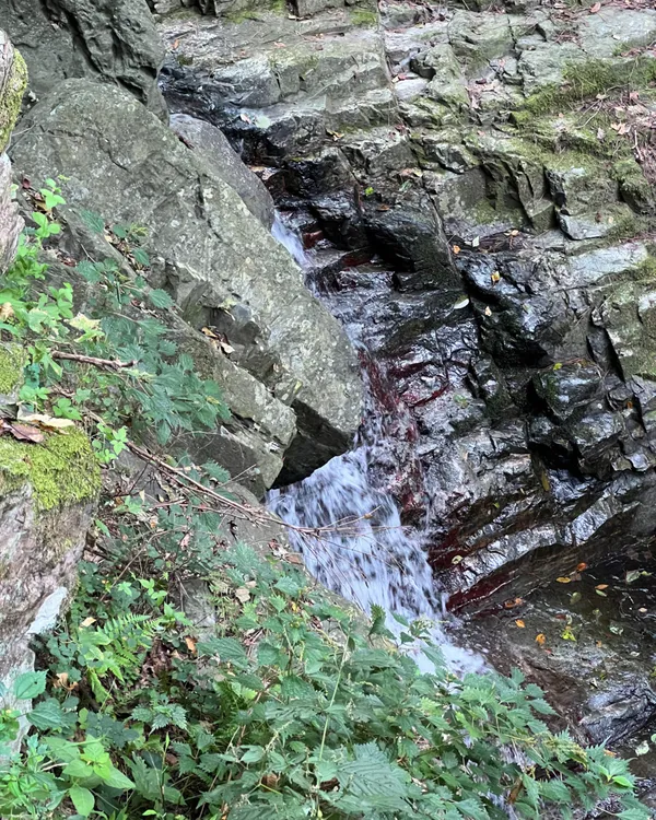 천주산 사진 3