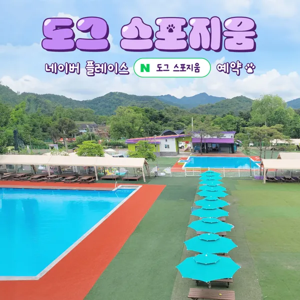 도그스포지움 사진 2