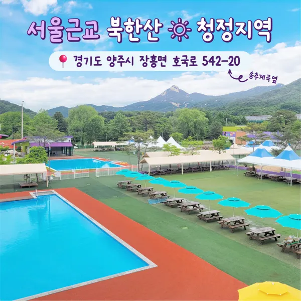도그스포지움 사진 3