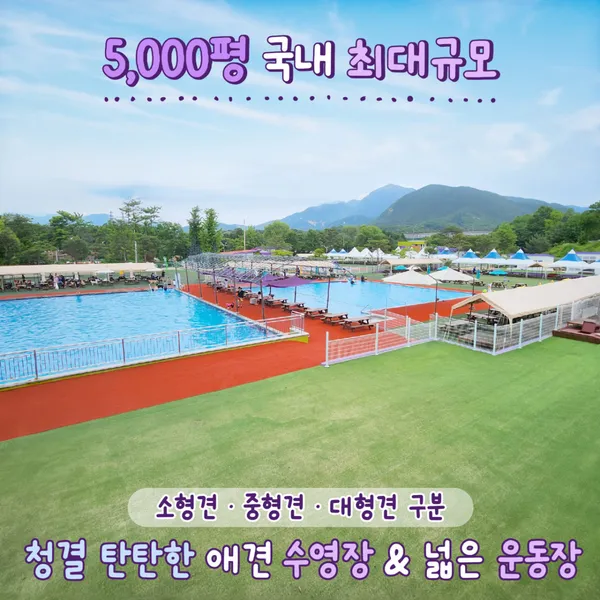 도그스포지움 사진 4