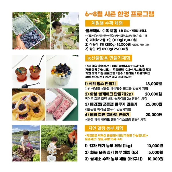 시골농부농원 블루베리 체험농장 치유교육농장 사진 4