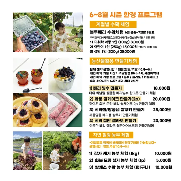 시골농부농원 블루베리 체험농장 치유교육농장 사진 5