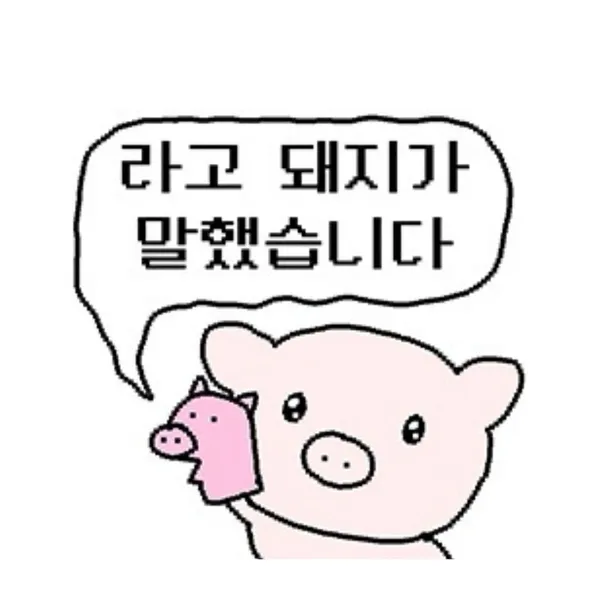 베카신 사진 5