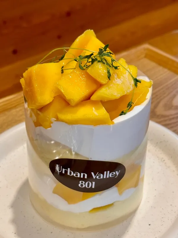 어반벨리801 사진 4