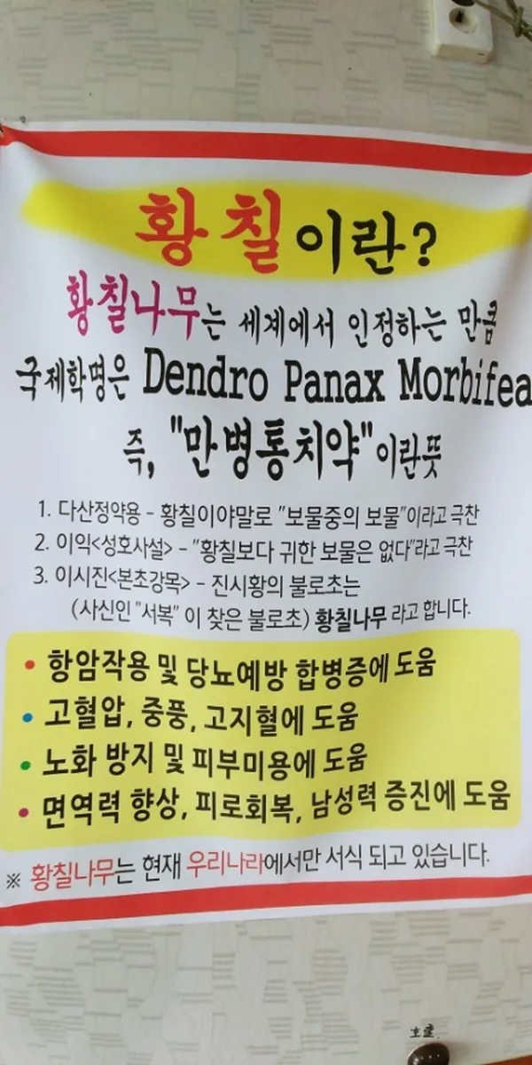 청솔집 사진 5
