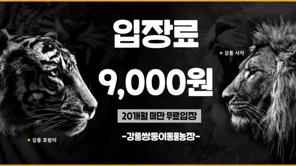 강릉쌍둥이동물농장 사진 2