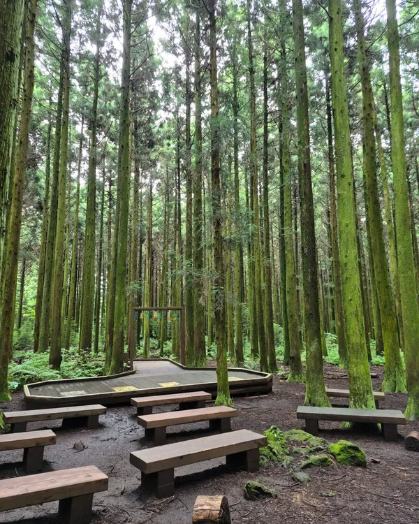 Saryeoni Forest Barrier-free Sharing Trail