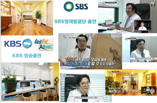 마음치유클리닉 심리상담센터 사진 2