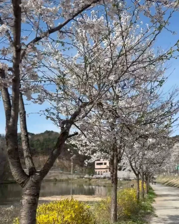 가평군농협하나로마트 설악점 사진 5