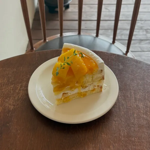 초여름 사진 3