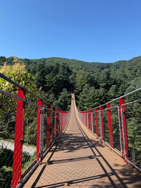 어메이징파크 사진 2