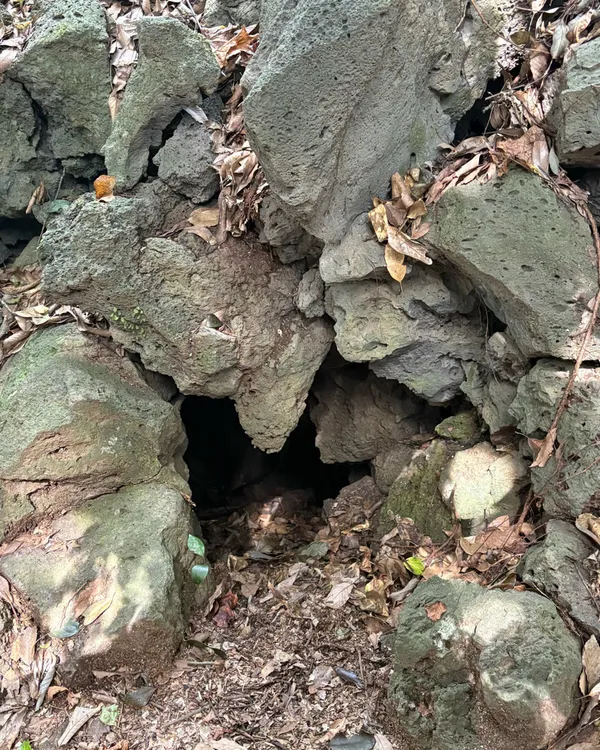 ファンサンスッコッチャワル公園の写真4