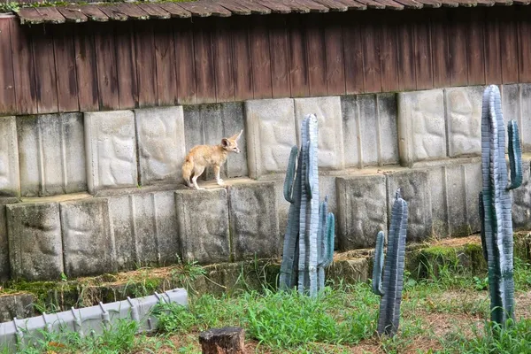청주랜드 사진 5