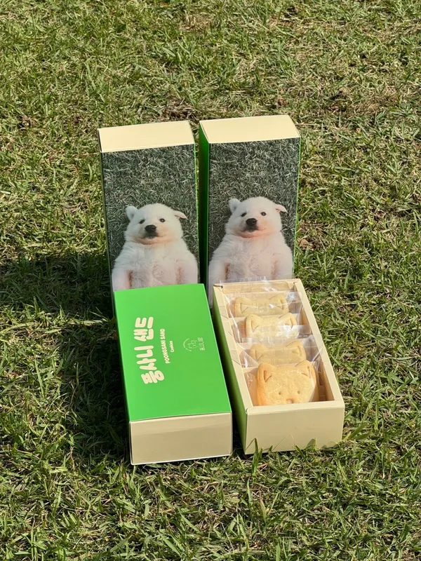 풍사니랑 사진 2