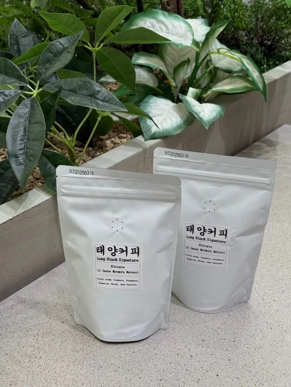 태양커피 대전신세계Art&Science점 사진 2