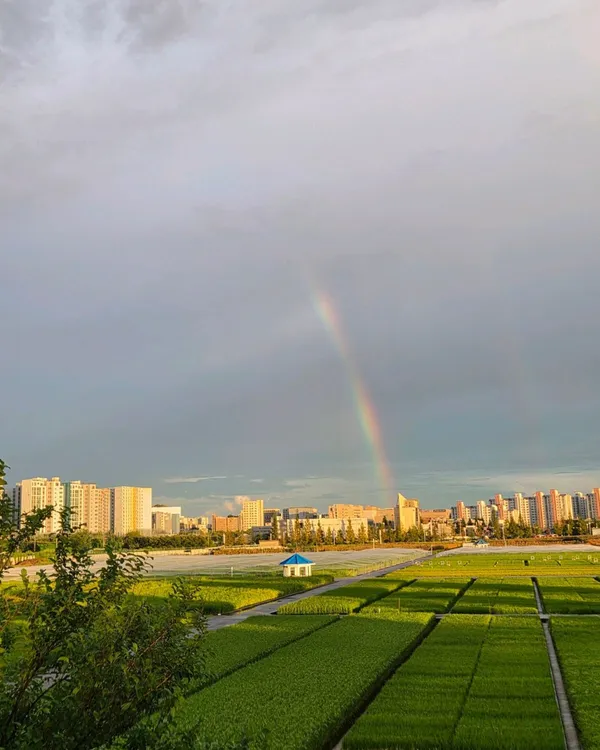 서호공원