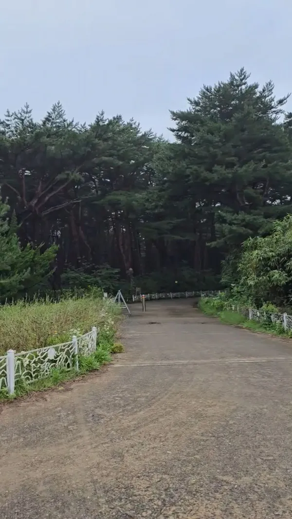 Hwajinpo Ui Seong Kim Il-sung Villa, photo 4