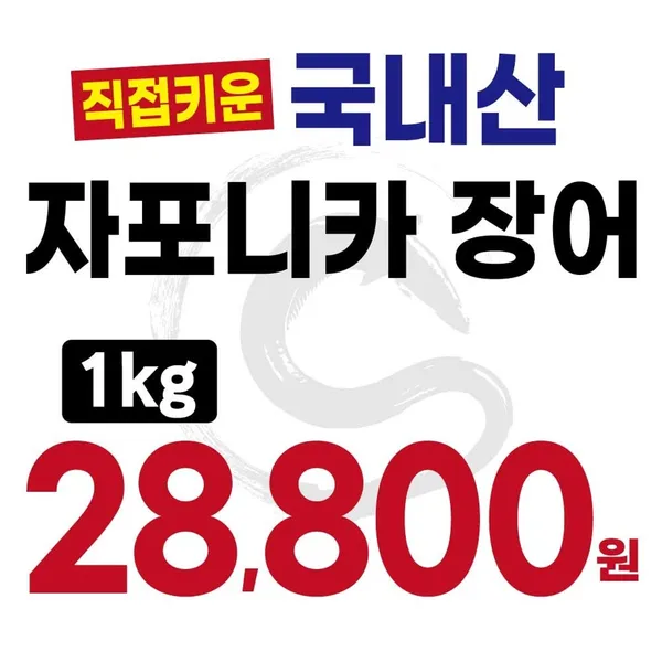 조선의장어 사진 4