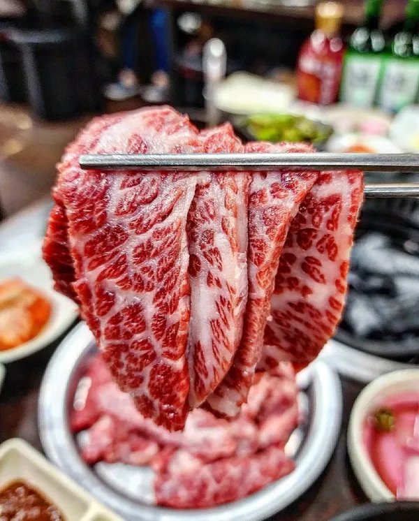 소나무 사진 2