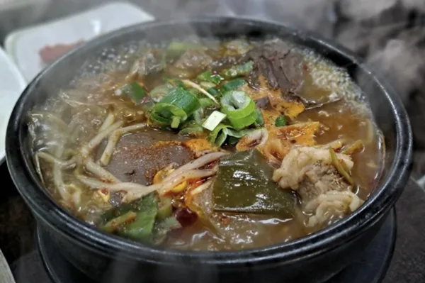 소나무 사진 3