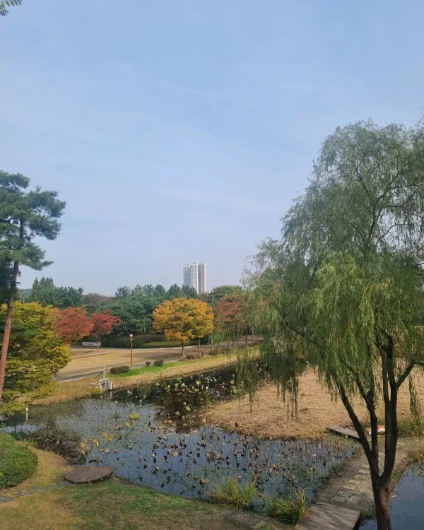 안산갈대습지 사진 3