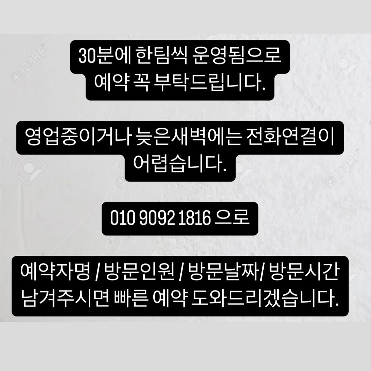 포레디 사진 4