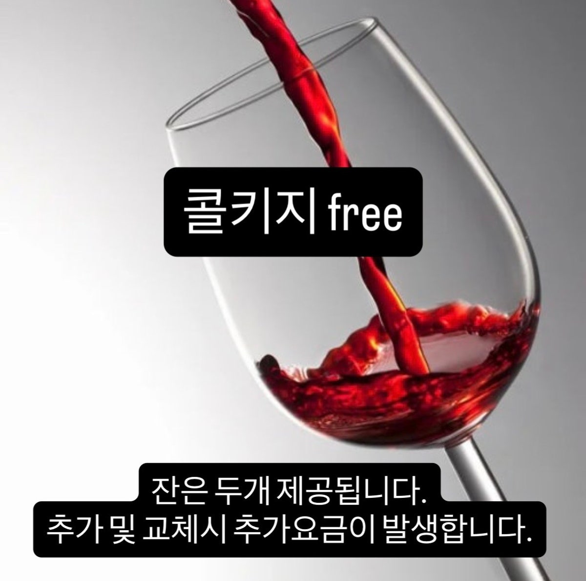 포레디 사진 5