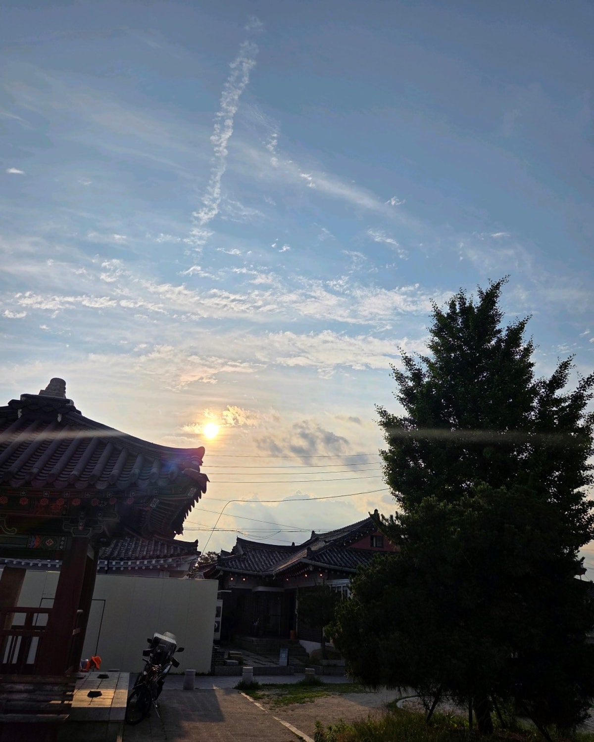 황리단쫀드기 사진 5