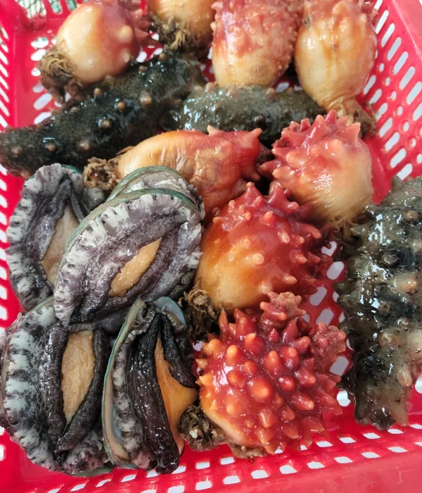 조은횟집 사진 4