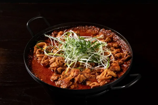 지피다 사진 5