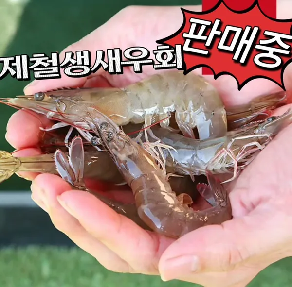 새마을39운동포차 사진 4