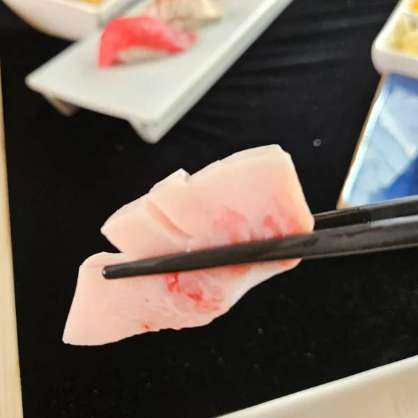 골드참치 사진 5