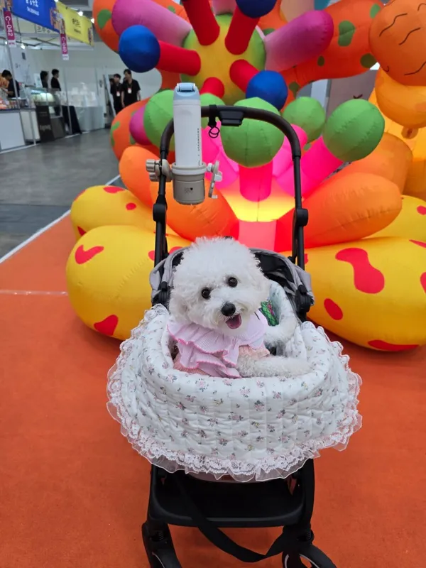 둔산대공원 사진 2