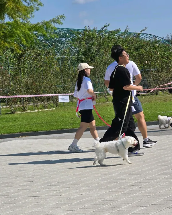둔산대공원 사진 3